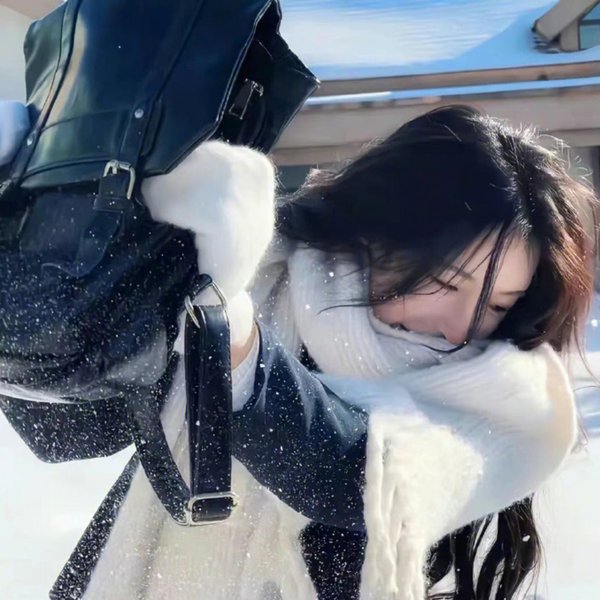 大案侦破警示录