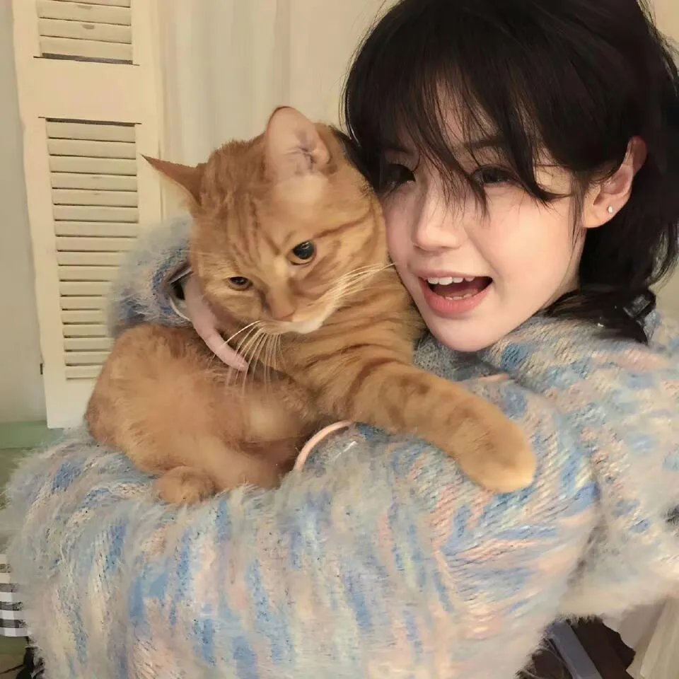 反叛的鲁路修剧场版3：皇道